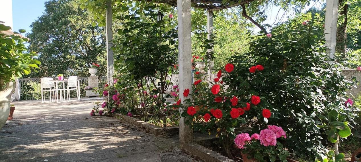 Casavacanze La Vigna Arenabianca エクステリア 写真